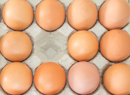 Eggs in an egg carton の写真素材