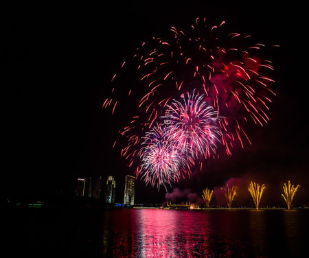 Fireworks display in the night sky 