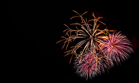Fireworks display in the night sky 