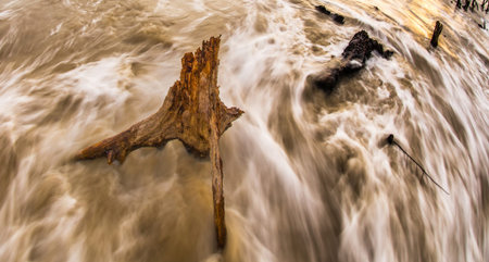 Dead trees in the sea at an eroded coastal line at Kelanang beach, Malaysia at sunset の写真素材