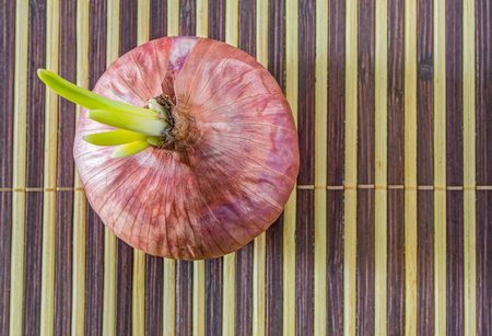 Onion on a bamboo matの写真素材