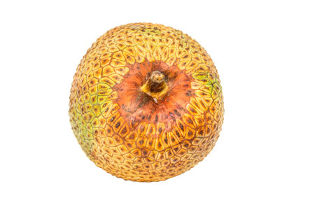 Artocarpus integer, commonly known as cempedak, a fruit native to South East Asia region 