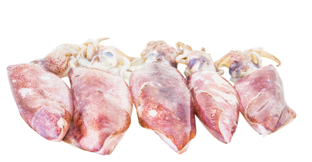 Raw squid over white backgroundの写真素材