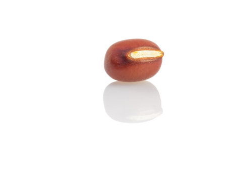 Azuki beans close up view over white background
