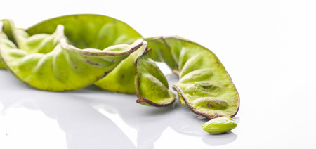 Stink bean or scientific name Parkia Speciosa over white backgroundの写真素材