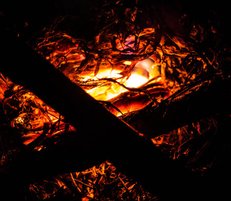 Burning ember abstract at night time
