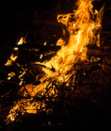 Burning fire abstract at night