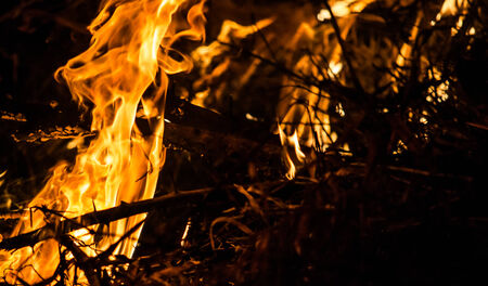 Burning fire abstract at nightの写真素材