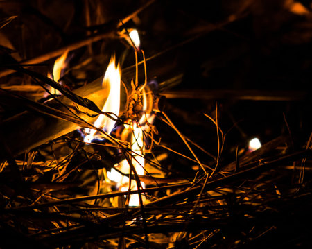 Burning fire abstract at night