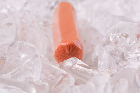 sausage kept fresh on ice cubesの写真素材