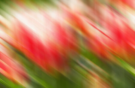 Tulips blur motion colors abstract for backgroundの写真素材