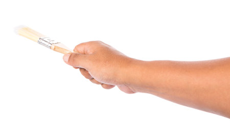 Male hand holding a paint brush over white backgroundの写真素材