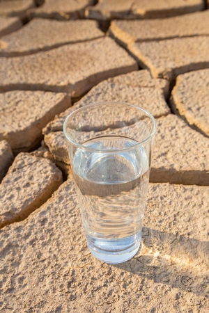 A glass of water on a parched soil during drought and dry season の写真素材