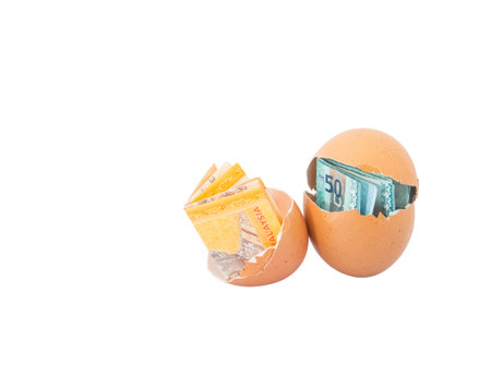 Concept image of Malaysia currency bank notes inside chicken egg over white background