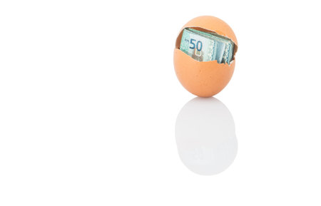 Concept image of Malaysia currency bank notes inside chicken egg over white 