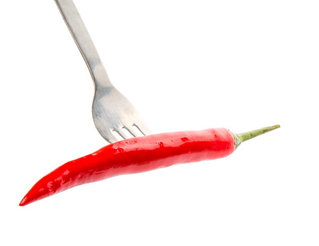 Chili and fork over white backgroundの写真素材