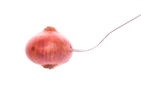 An onion and a fork over white backgroundの写真素材