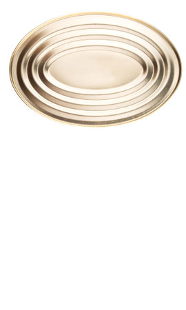 Oval shaped tin can over white background