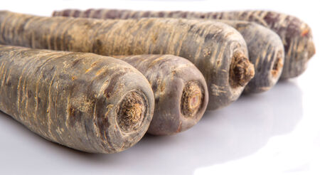 Purple carrot over white backgroundの写真素材