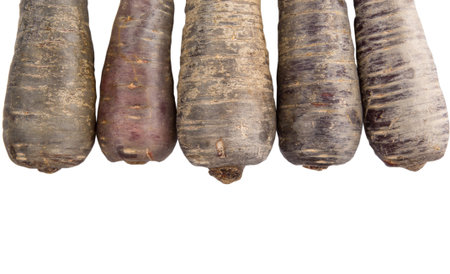 Purple carrot over white backgroundの写真素材