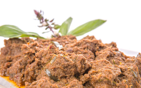 The Beef Rendang, a popular traditional Malay dish on white plate over white の写真素材