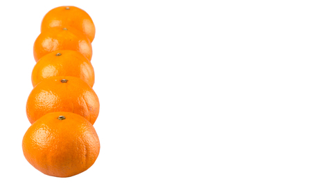 A row of Mandarin orange fruit over white backgroundの写真素材
