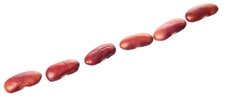 Red kidney beans over white backgroundの写真素材