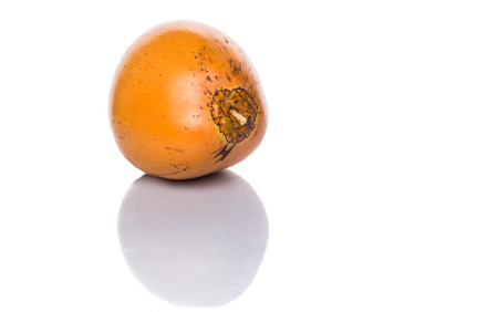 The Malayan Dwarf coconut over white backgroundの写真素材