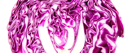 Half cut red cabbage over white backgroundの写真素材