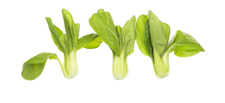Chinese cabbage or bok choy over white backgroundの写真素材