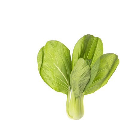 Chinese cabbage or bok choy over white backgroundの写真素材