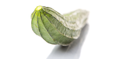 Snake gourd vegetable over white backgroundの写真素材