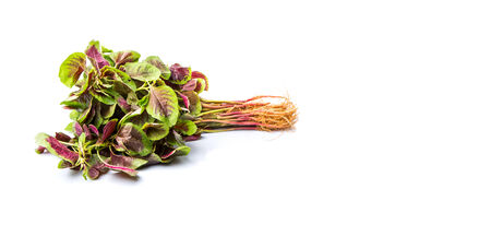 A bunch of Chinese red spinach over white backgroundの写真素材