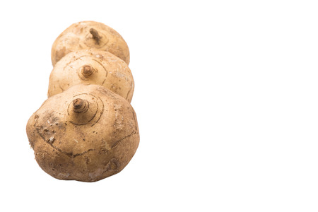 Jamaica or Mexican yam over white backgroundの写真素材