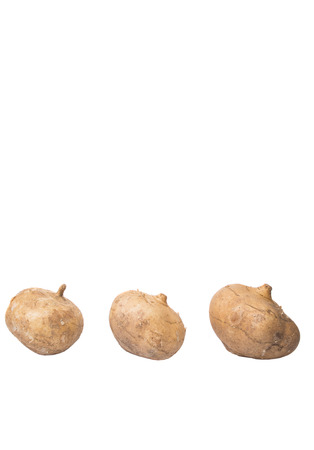 Jamaica or Mexican yam over white backgroundの写真素材