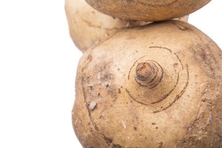 Jamaica or Mexican yam over white backgroundの写真素材