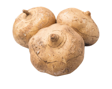 Jamaica or Mexican yam over white backgroundの写真素材