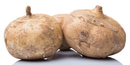 Jamaica or Mexican yam over white backgroundの写真素材