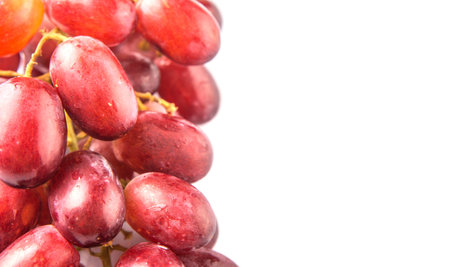 Red grapes fruits over white backgroundの写真素材