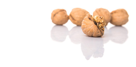 Walnut nuts over white backgroundの写真素材