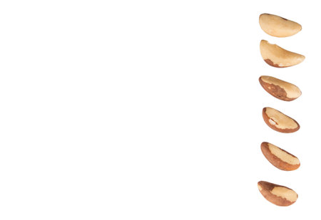 Brazil nuts over white の写真素材