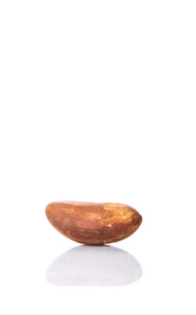 Brazil nuts over white の写真素材