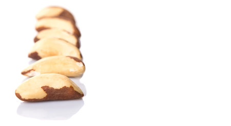 Brazil nuts over white の写真素材