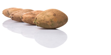 Sapodilla or Ciku fruit over white backgroundの写真素材