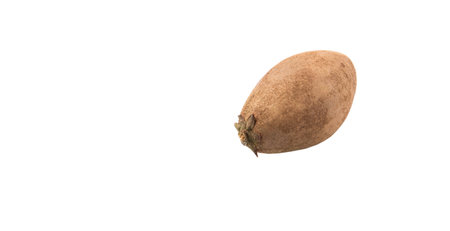 Sapodilla or Ciku fruit over white の写真素材