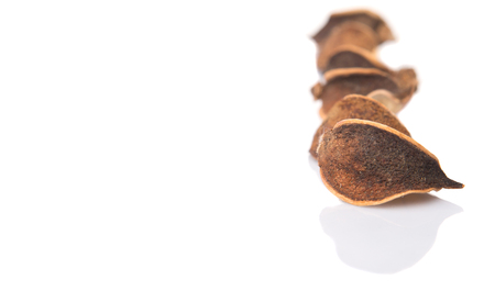 Potpourri materials of dried natural plants over white backgroundの写真素材