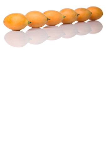 Buah Kundang is commonly known in English as the marian plum, gandaria, and plum mango is a tropical fruit tree native to Malaysia and Southeast Asiaの写真素材