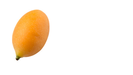 Buah Kundang is commonly known in English as the marian plum, gandaria, and plum mango is a tropical fruit tree native to Malaysia and Southeast Asiaの写真素材