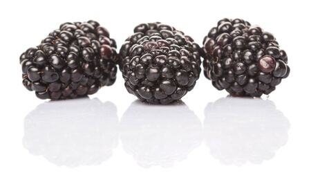 Blackberry fruit over white backgroundの写真素材