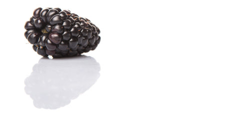 Blackberry fruit over white background
